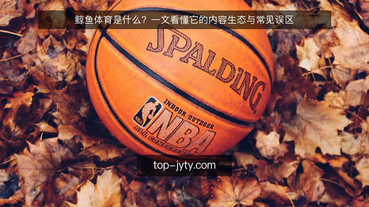 鲸鱼体育是什么?一文看懂它的内容生态与常见误区