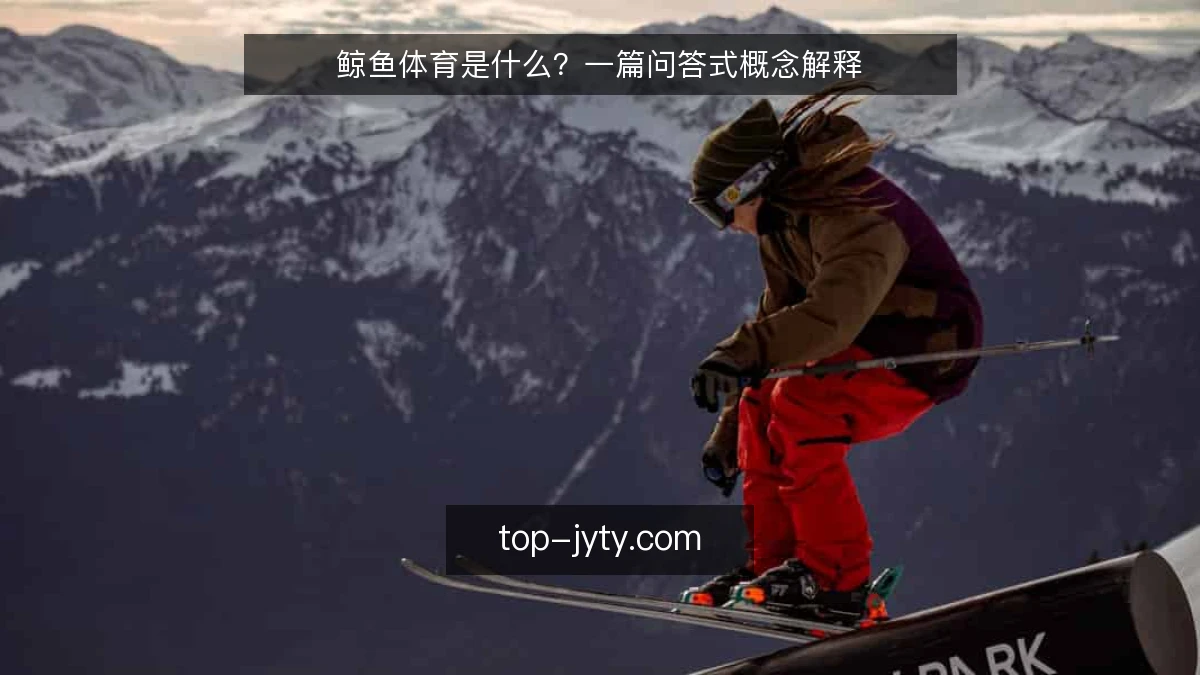 鲸鱼体育是什么?一篇问答式概念解释