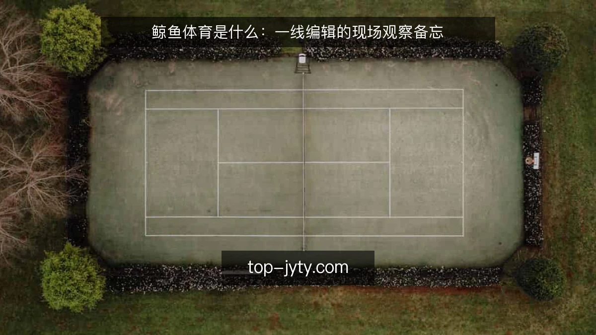 鲸鱼体育是什么:一线编辑的现场观察备忘