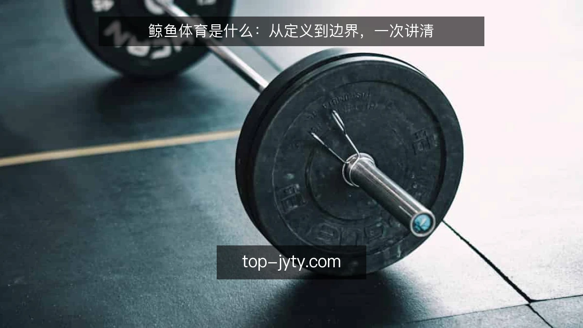 鲸鱼体育是什么：从定义到边界，一次讲清